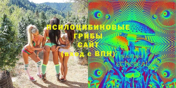 дживик Армянск