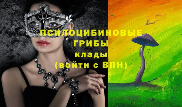 стафф Арсеньев