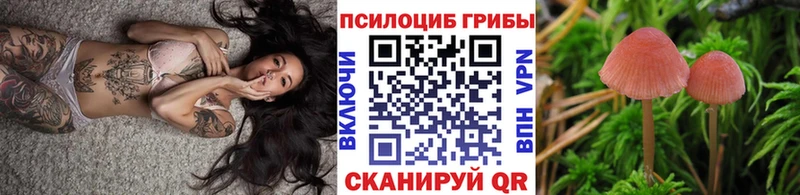 купить наркотик  Прохладный  Галлюциногенные грибы мухоморы 